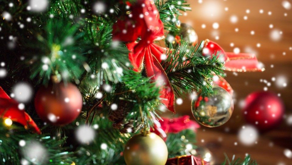 113018-christmas-tree-adobestock_122831287