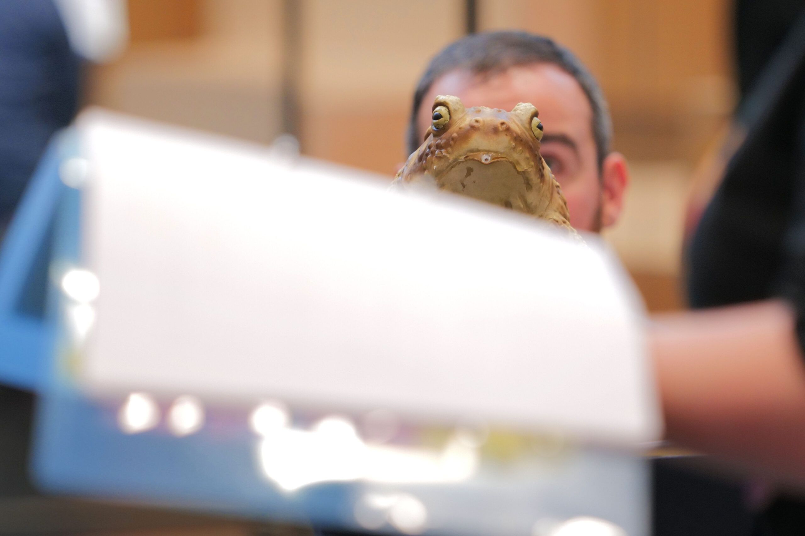 UGLY Rehearsal 17-11-23 © Sartorial Pictures