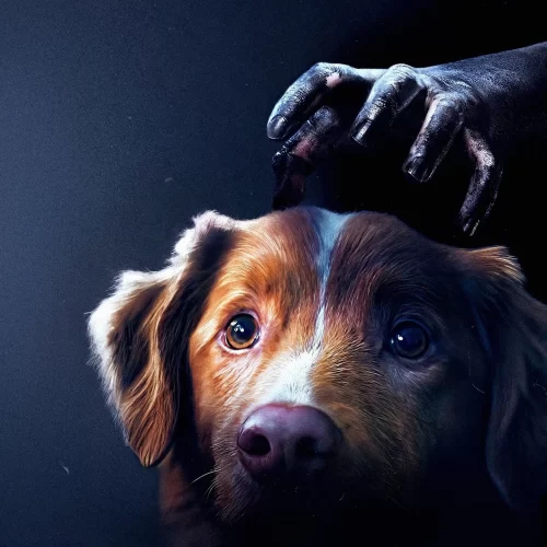 y47aBf7GFdcwtdmCxEis14hPZS4